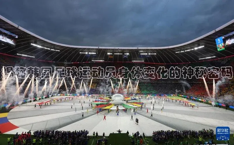 8868体育网页版入口百度社团赞助平台揭秘韩国足球运动员身体变化的神秘密码
