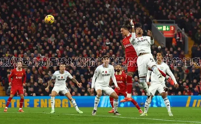 8868体育官网进入百度教育惠州运动场足球场报价单详细价格表及设施信息