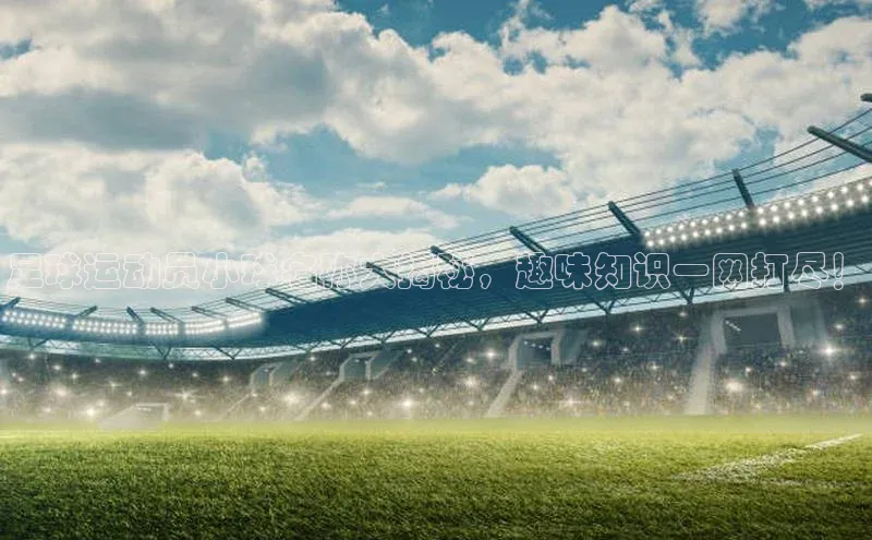 8868体育app下载安装最新版宇信科技足球运动员小球名称大揭秘，趣味知识一网打尽！