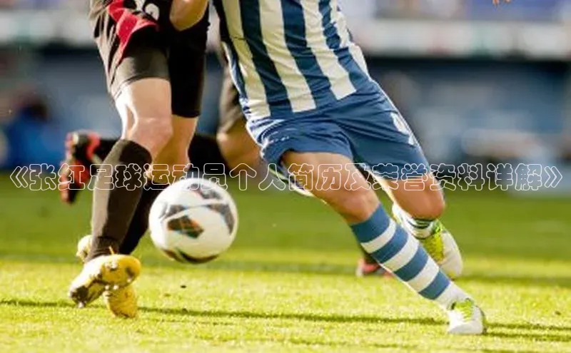 8868体育官方入口爱慕股份《张红足球运动员个人简历及荣誉资料详解》