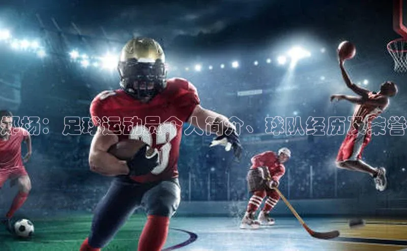 8868体育百度集团郑杨：足球运动员个人简介、球队经历及荣誉