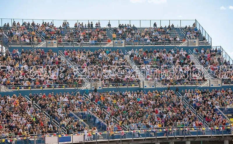 飞跃赛场：运动赛事插画素材图文版