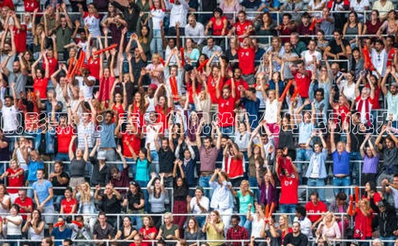 帆影飘扬：青岛的帆船文化与运动魅力