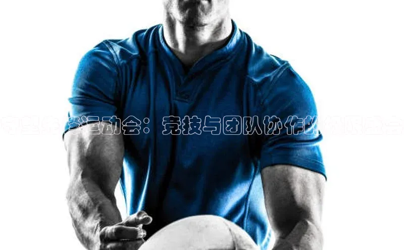 守望先锋运动会：竞技与团队协作的极限盛会