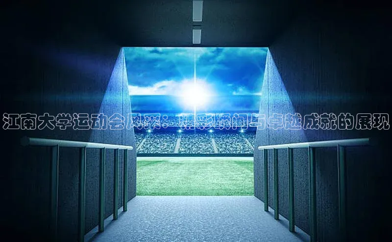 江南大学运动会风采：精彩瞬间与卓越成就的展现
