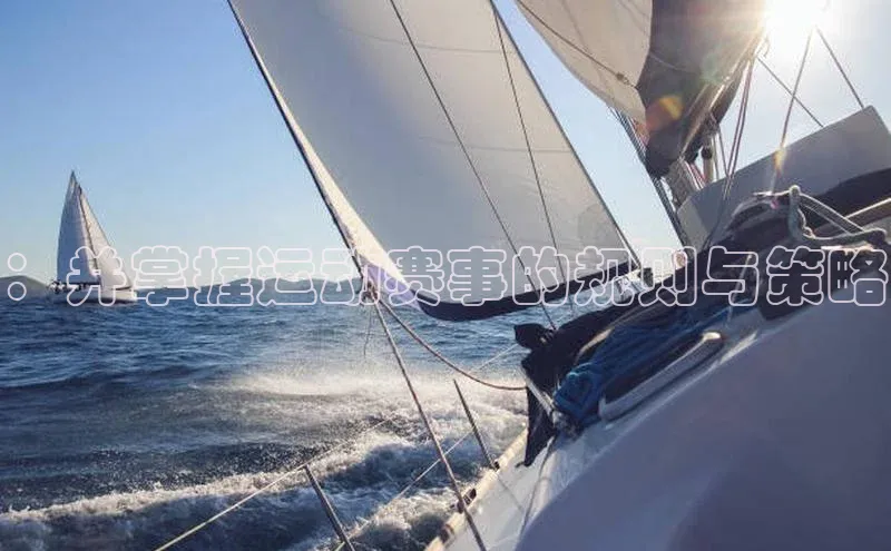 ：并掌握运动赛事的规则与策略