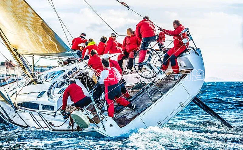 日本运动队赛事前瞻：年度赛程与趋势洞察