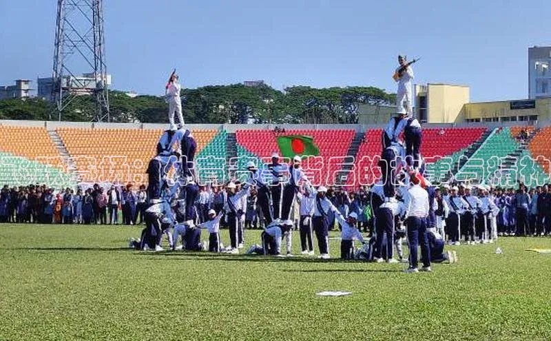 飞跃赛场：体育赛事背后的故事与精神