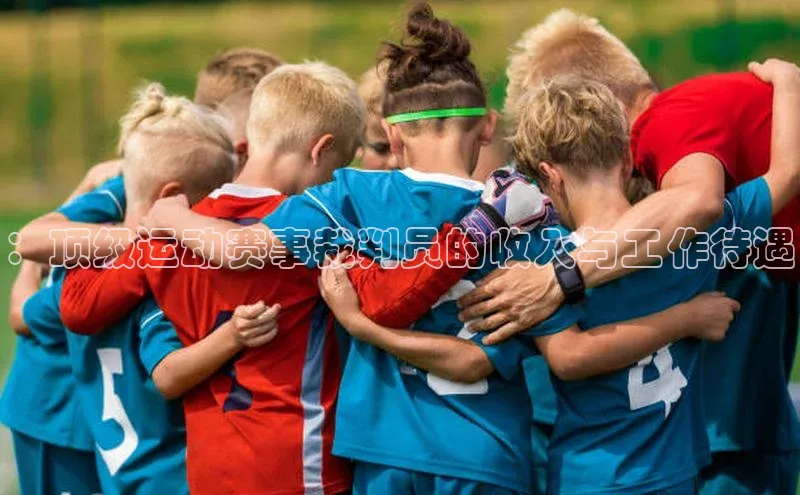 ：顶级运动赛事裁判员的收入与工作待遇