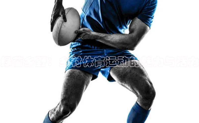 绿茵乡野：乡村体育运动的魅力与活力