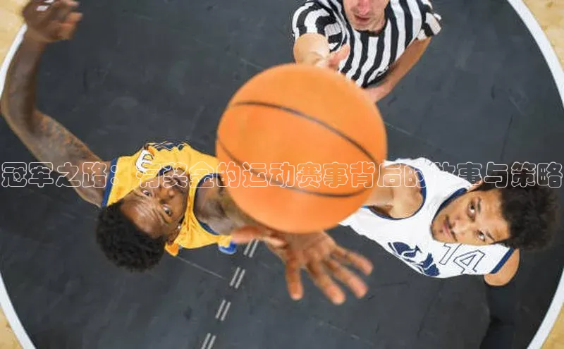 冠军之路：有奖金的运动赛事背后的故事与策略
