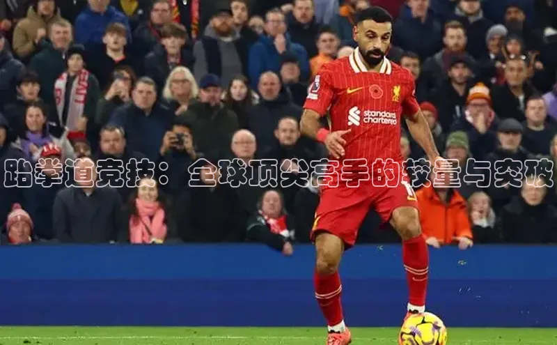 跆拳道竞技：全球顶尖高手的较量与突破