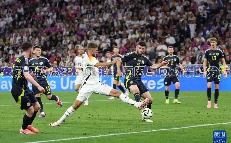 安徽运动赛事的取消：原因与应对策略分析