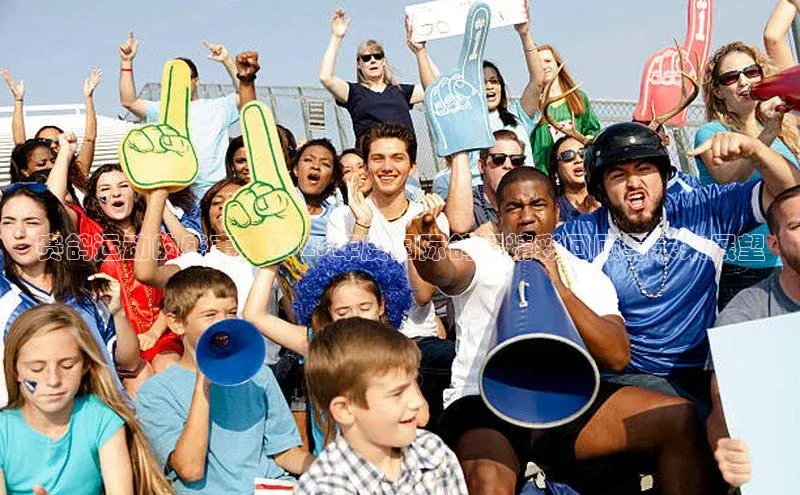 赛鸽运动的盛事：2023年度国际鸽展精彩回顾与未来展望