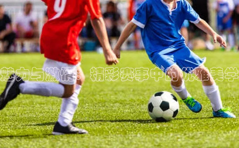 魅力与激情：精彩赛事中的优雅美学