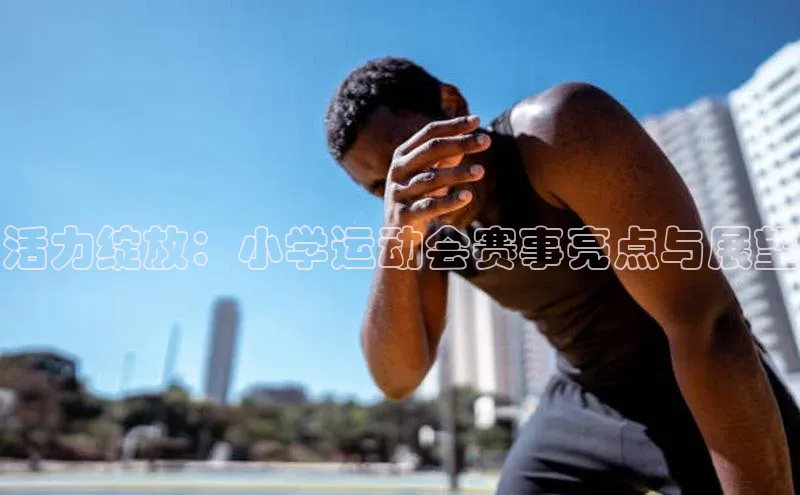 活力绽放：小学运动会赛事亮点与展望
