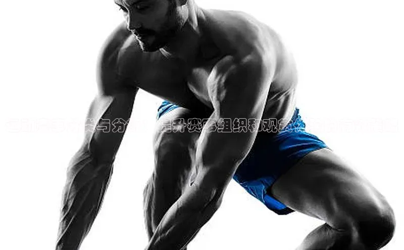 运动赛事分类与分析：提升赛事组织和观赏体验的有效策略