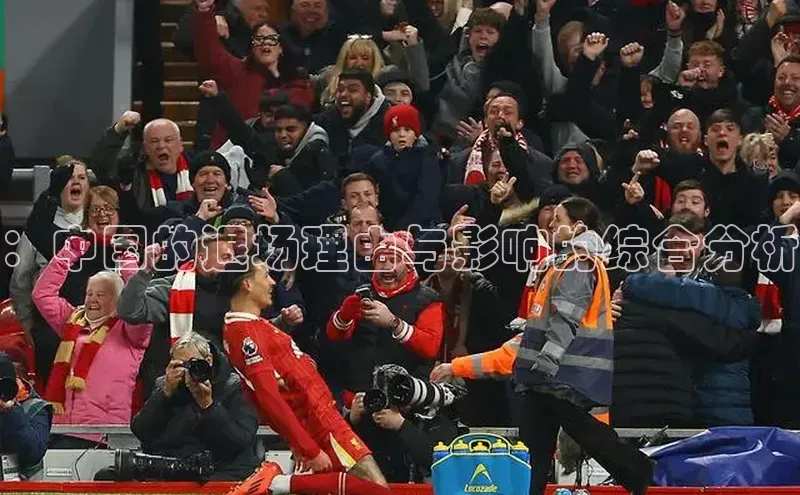 ：中国的退场理由与影响的综合分析