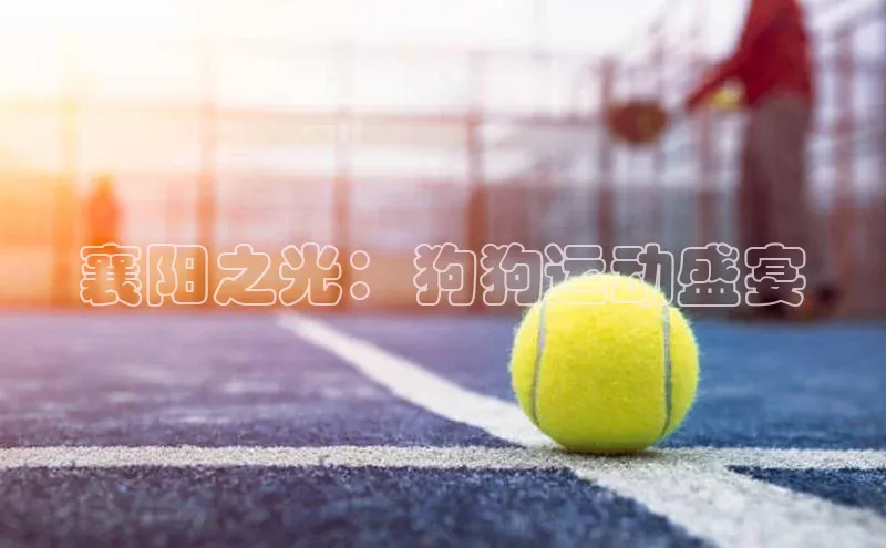 8868体育官网平台