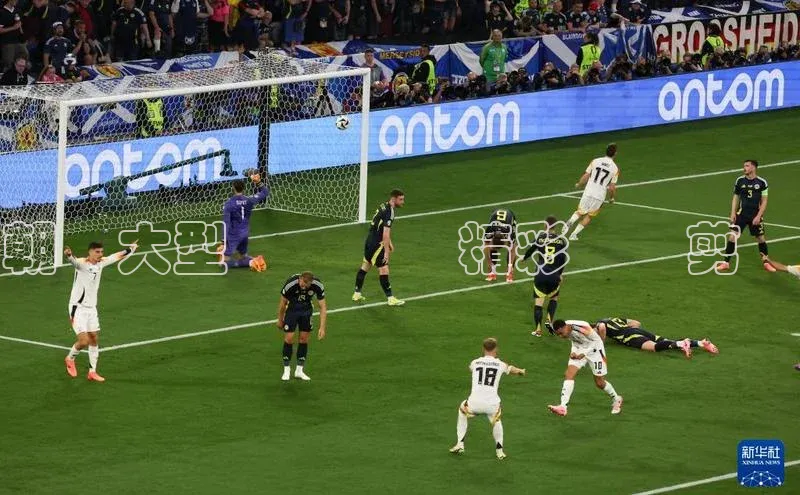 8868体育官方app下载