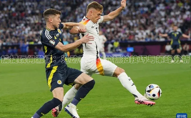 8868体育官方登录入口