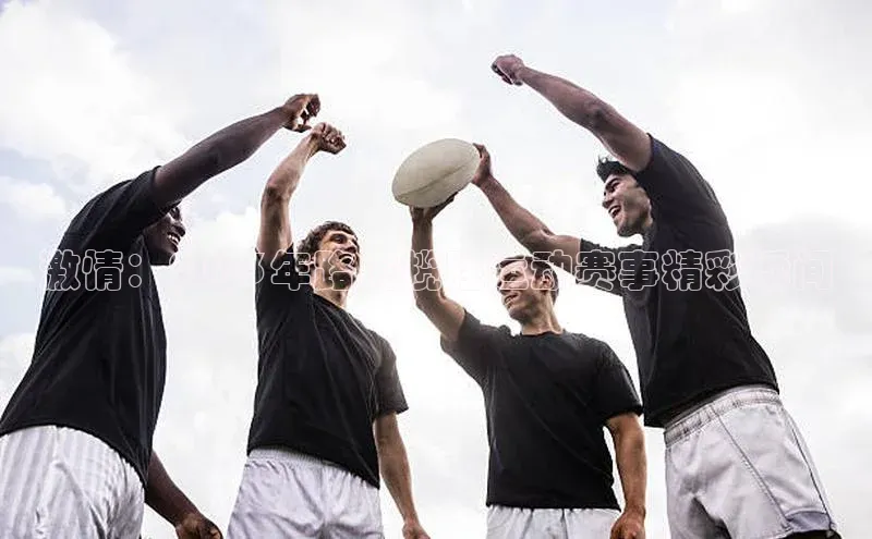 8868体育网页版入口