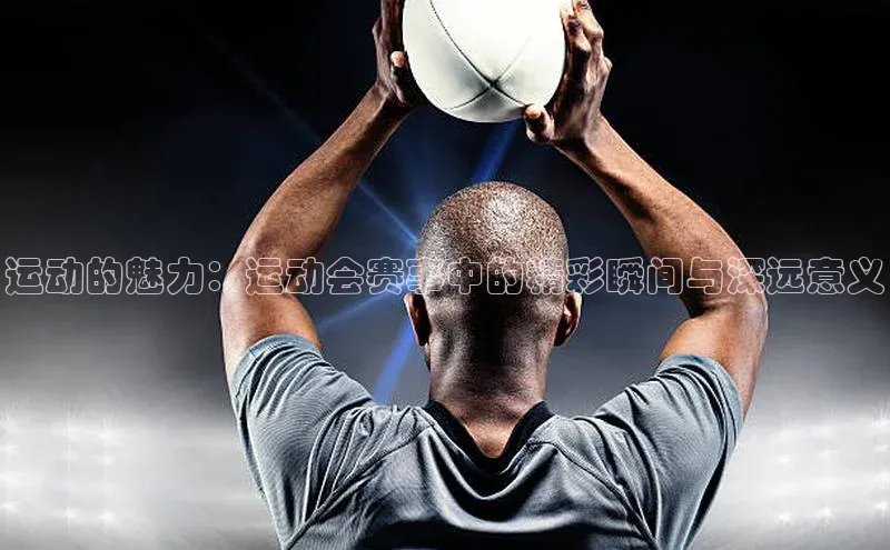 8868体育登录入口进入官网