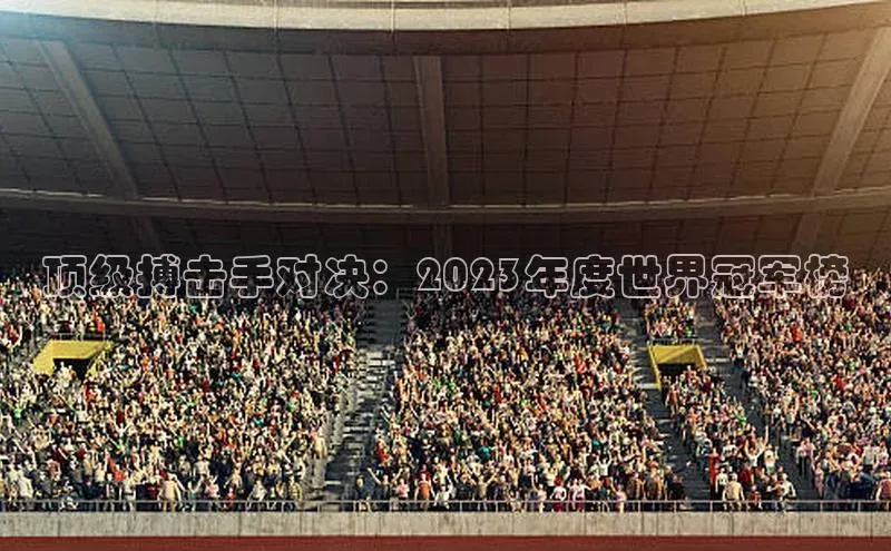 顶级搏击手对决：2023年度世界冠军榜